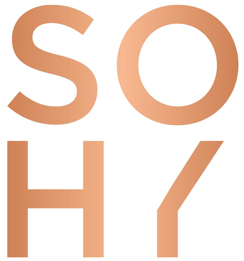 Công ty cổ phần SOHY (SOHY Skybar & Restaurant)